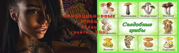 Альфа ПВП Дмитров