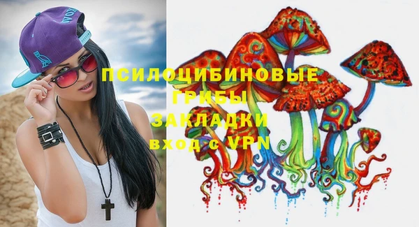 Альфа ПВП Дмитров