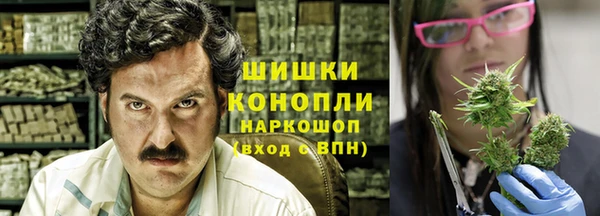 твердый Протвино