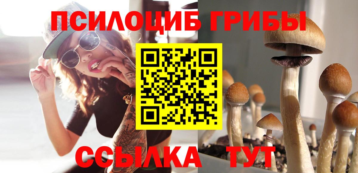 Галлюциногенные грибы Psilocybine cubensis  Псилоцибиновые грибы Cubensis  Сальск  Вход с VPN 
