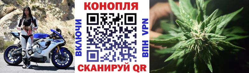shop формула  Сальск  Шишки марихуана White Widow  цена наркотик 