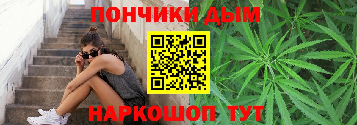 Сальск  Бошки Шишки индика  Шишки марихуана VHQ  Вход с VPN  Конопля тримм 